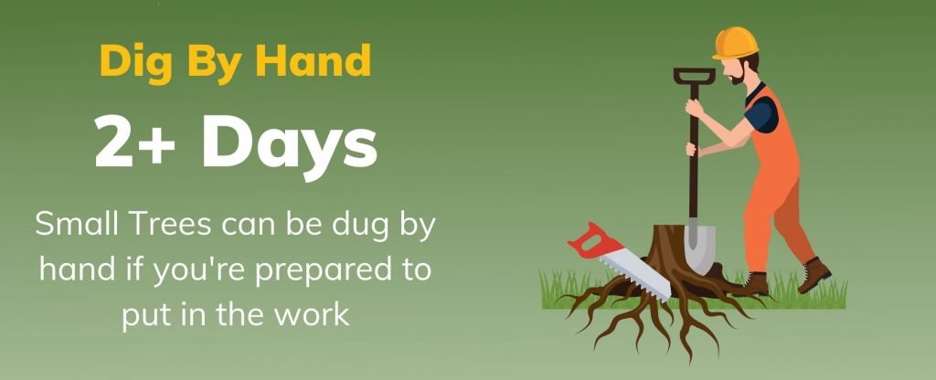 Dig tree stump by hand