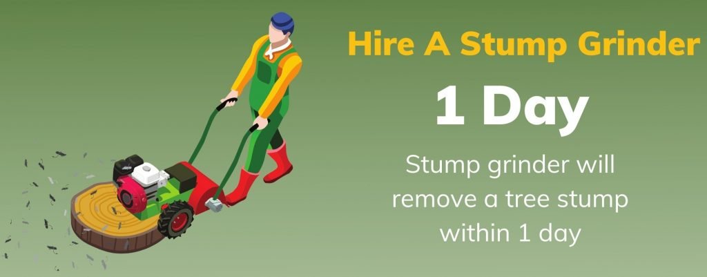Hire a stump grinder