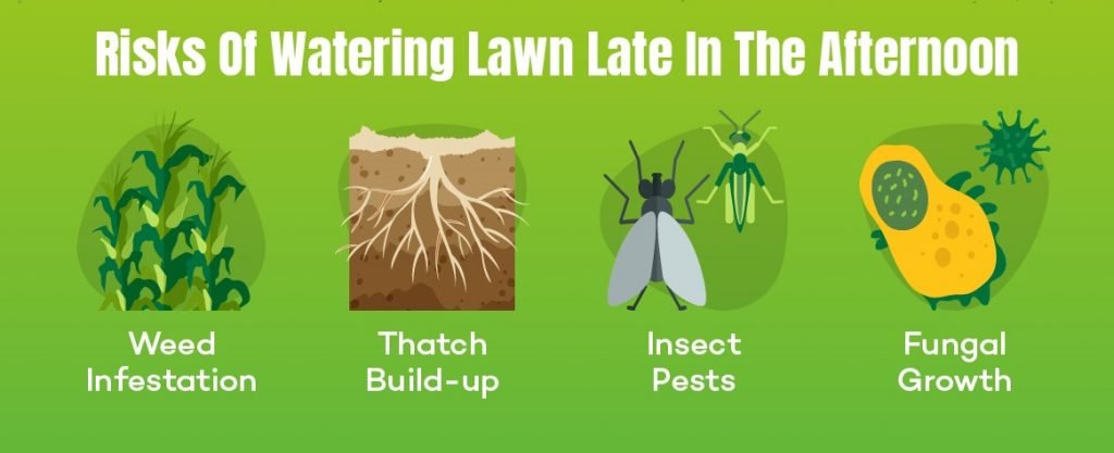 Risk of watering lawn in the afternoon