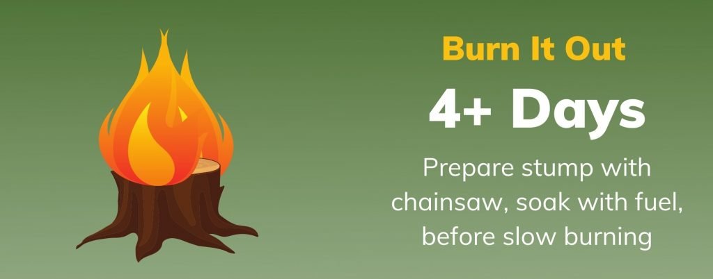 How To Get Rid Of A Tree Stump With Charcoal