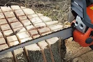 burn out a tree stump