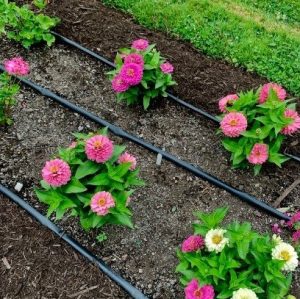 soaker hose flower bed
