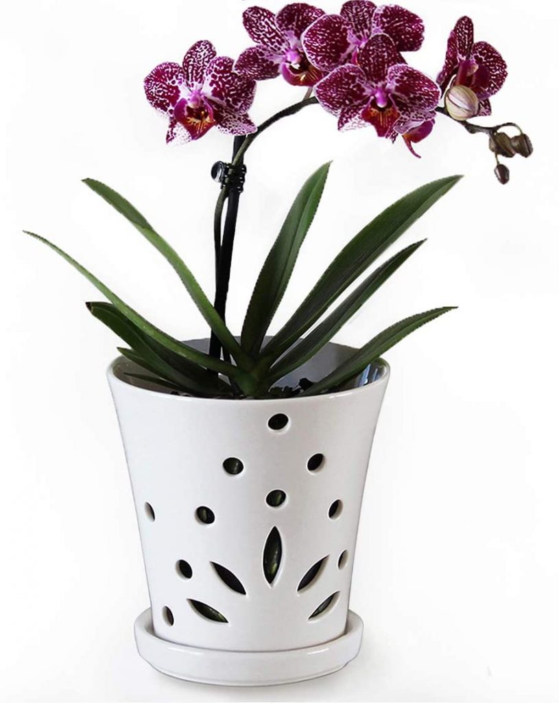 Atri Ceramic Orchid Pot