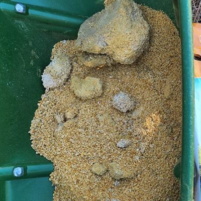 Corn Glutenmeal Fertilizer granules #2