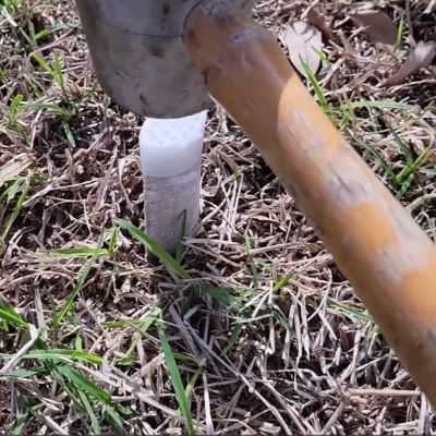 Miracle Gro Tree Spike drive spike into ground with hammer