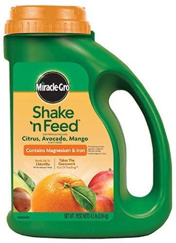 Miracle-gro citrus fertilizer