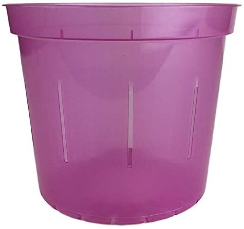 RePotme Slotted Clear Orchid Pots