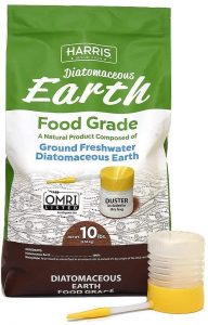 diatomaceous earth