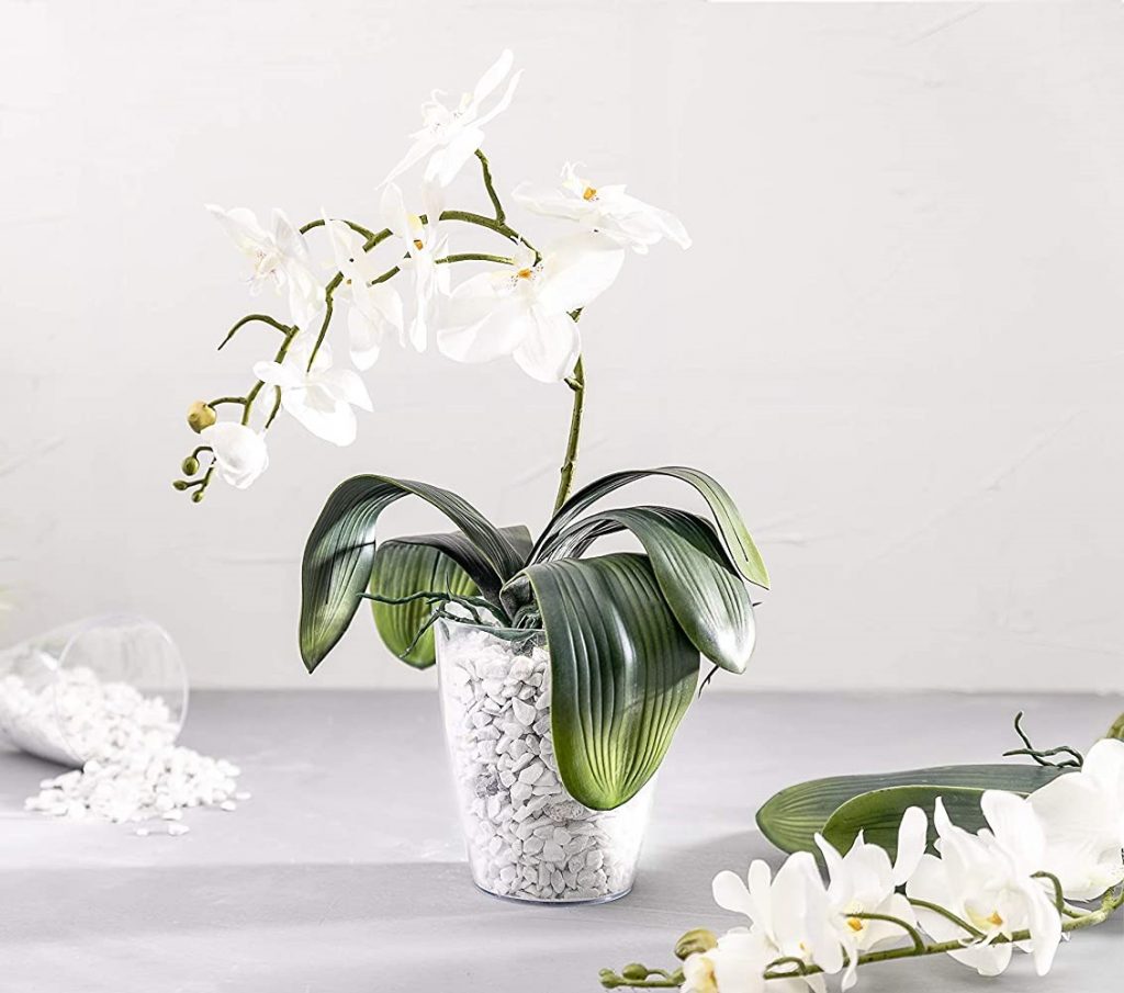 plaster-orchid-pot-with-gravel