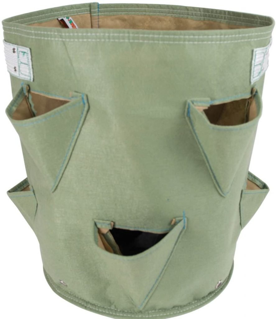 3. BloemBagz Strawberry Planter, 9 Gallon, Tequila Sunrise3. BloemBagz Strawberry Planter, 9 Gallon, Tequila Sunrise