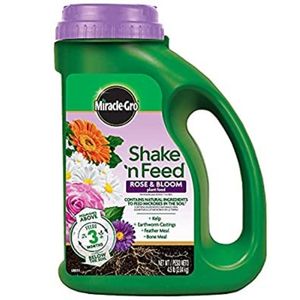 Miracle-Gro Shake 'N Feed Rose And Bloom Continuous Release Pl, 4.5 Lb