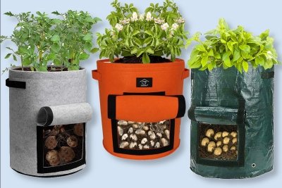 best potato grow bags 2