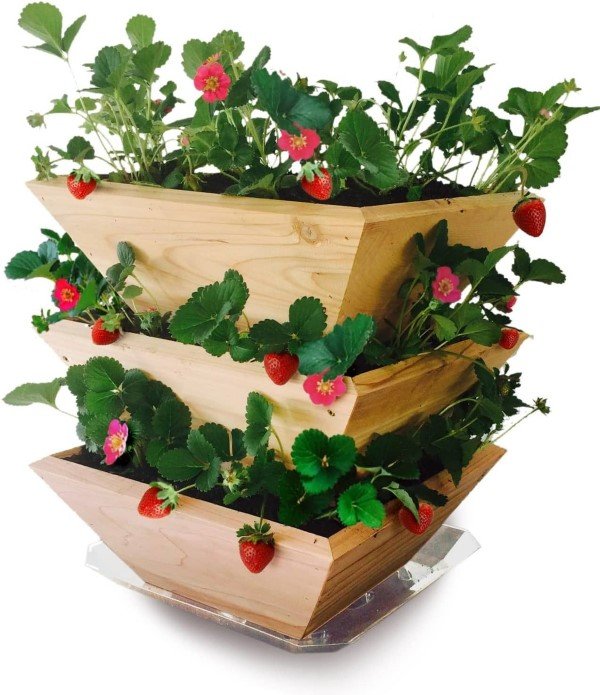 Homegrown Strawberry Tower Planter, Set Of 3
