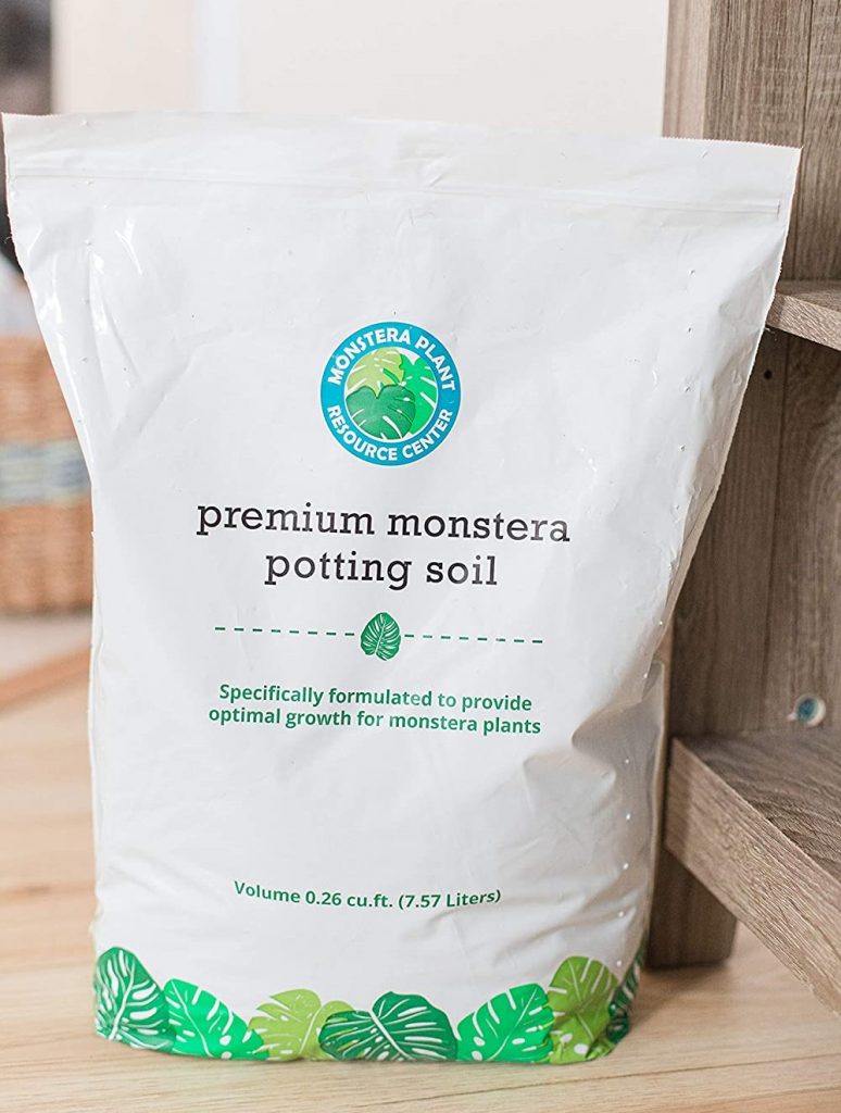 monstera potting soil
