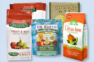 best cherry tree fertilizers