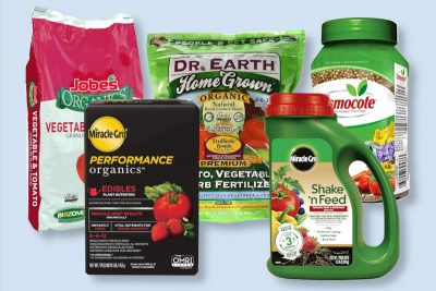 best Vegetable Garden Fertilizer