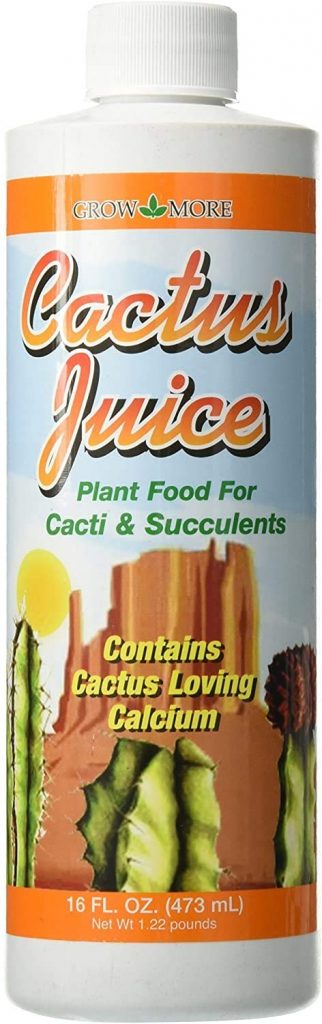 Cactus Juice