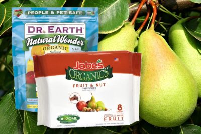 fruit tree fertilizer