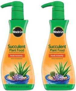 Miracle Gro Succulent Spray