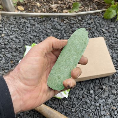 Each palm spike is around 4 inches