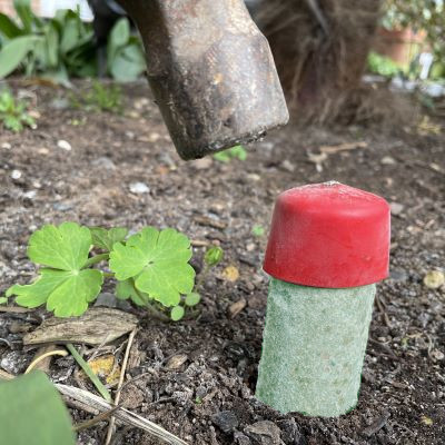 Hammer spike 36 inches from palm tree