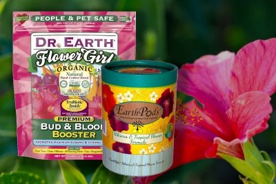 best hibiscus fertilizer