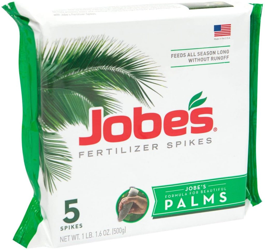 jobes-outdoor-fern-spikes