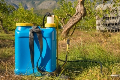 Best Time To Apply 2-4-D Herbicide