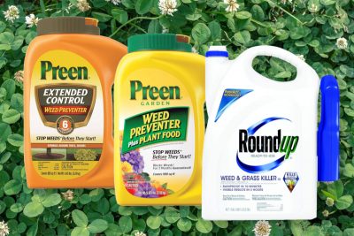 Best Weed Killer For Flower Beds