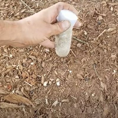 push Jobes evergreen spike into ground