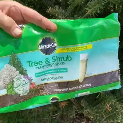 Miracle Gro Tree Spike Packet