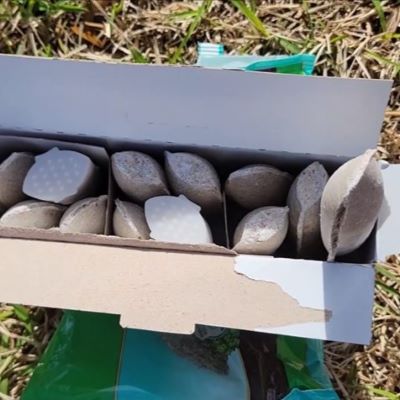 Miracle Gro Tree Spike box of 12 spikes#2