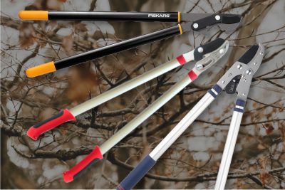 best loppers for pruning trees