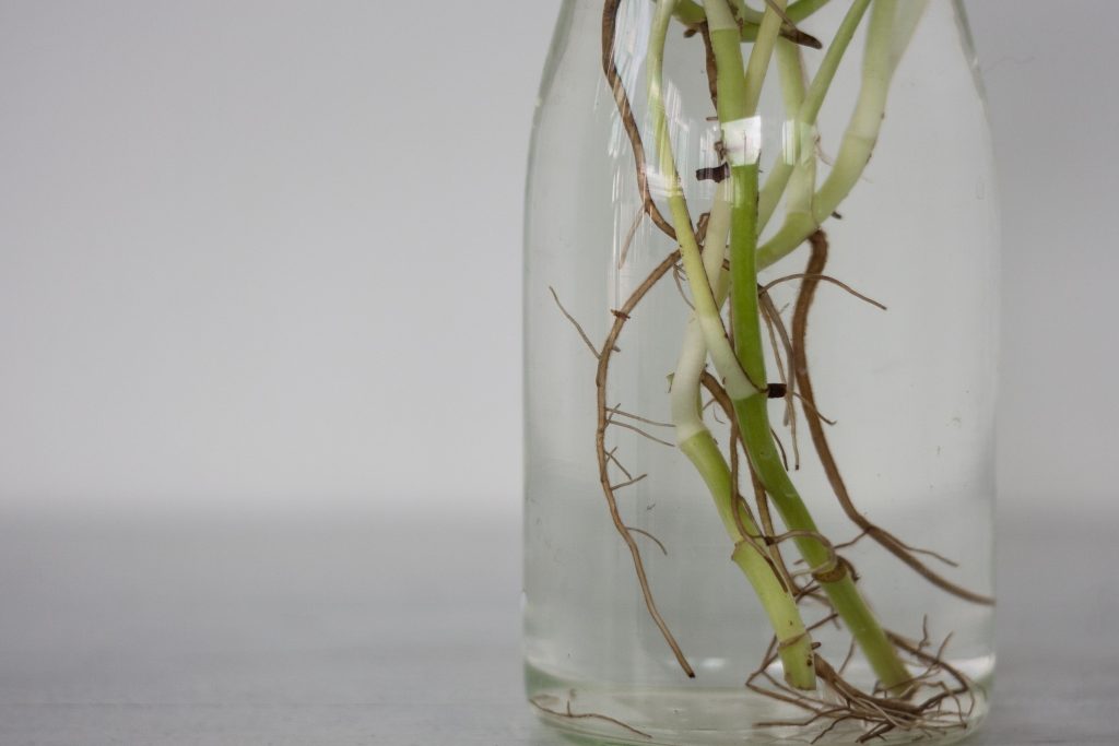 pothos-propagation