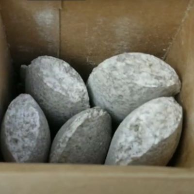 Packet of Jobes Fruit and Nut Fertilizer spikes