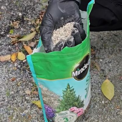 Miracle Gro Trees and Shrubs Granule Size