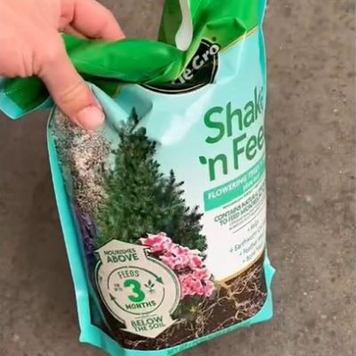 Miracle Gro Trees and Shrubs packet