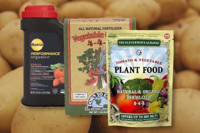 best fertilizer for potatoes