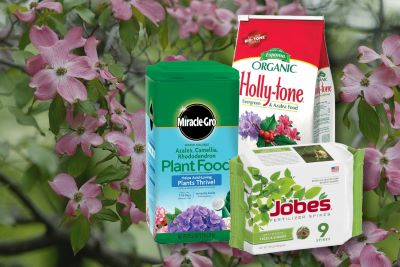 best fertilizer for dogwood