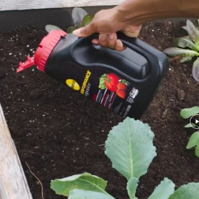 Shake N Feed design cap