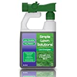 best liquid lawn fertilizer - Lawn Booster Nitrogen and Iron Spray 6-0-0
