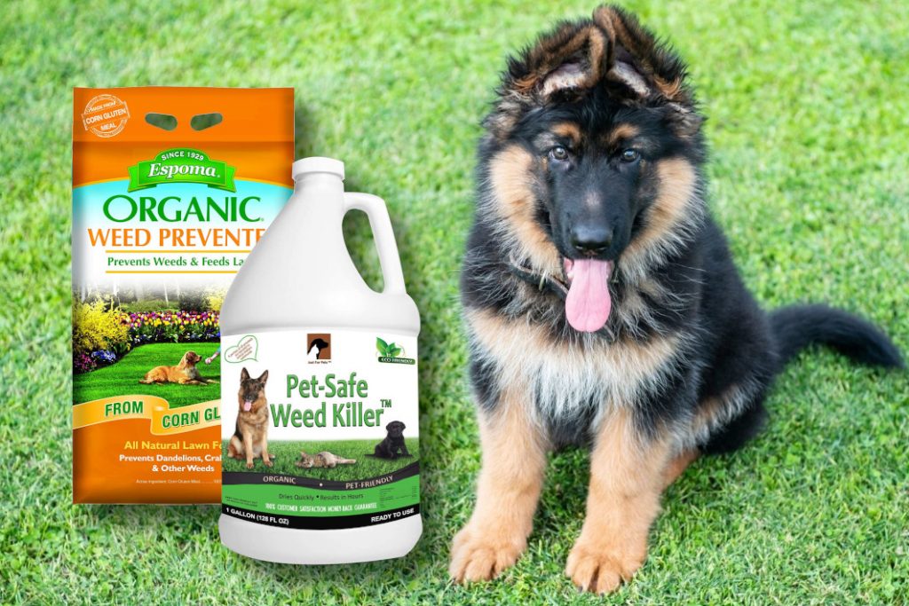 pet safe weed killer non toxic to dogs