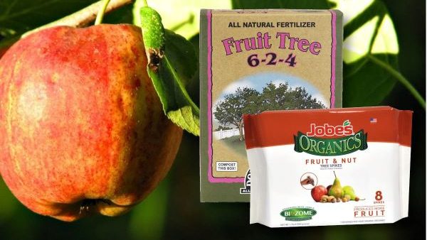 best fertilizer for apple and pear trees 1 edited