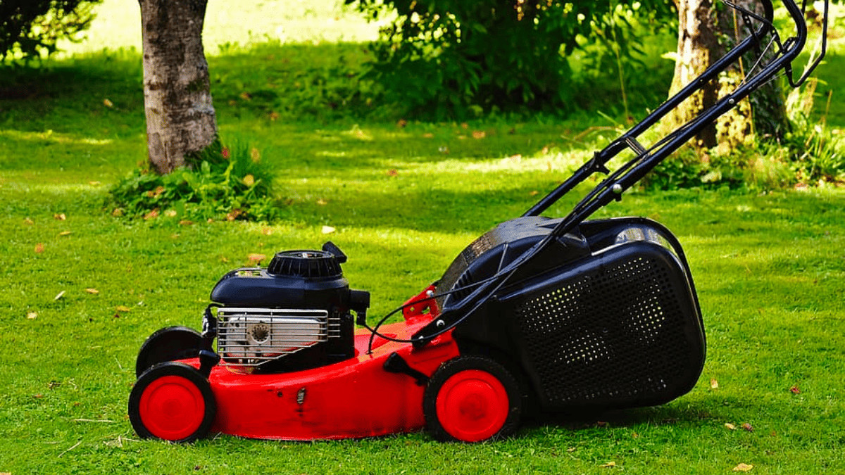 substitute for 2-stroke oil