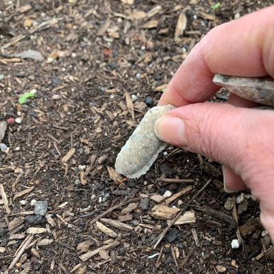 Jobes Tomato Spikes Can Be Pushed Into The Ground