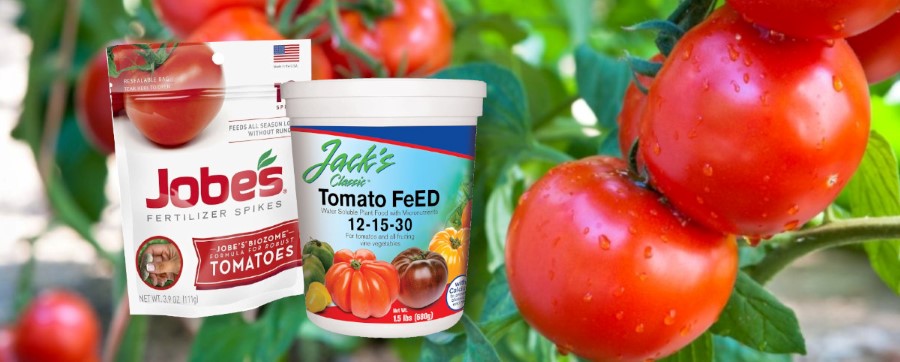 7 Best Tomato Fertilizers | Tomato Food How & When To Use