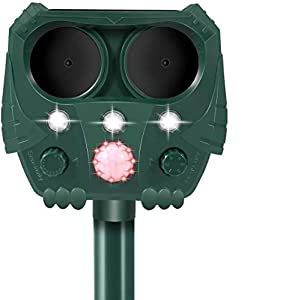 How To Get Rid Of Raccoons