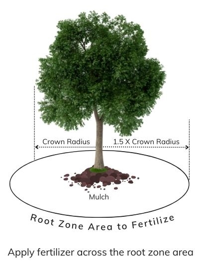 Root Zone Are to Fertilize