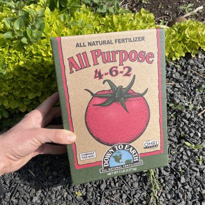 An organic fertilizer in a compostable box