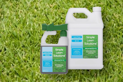 Best Fertilizer For St Augustine Grass